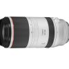 Canon RF 100-500mm f/4.5-7.1L IS USM! 🦅