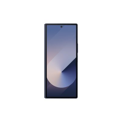 Samsung Galaxy Z Fold 6 (F956B DS)