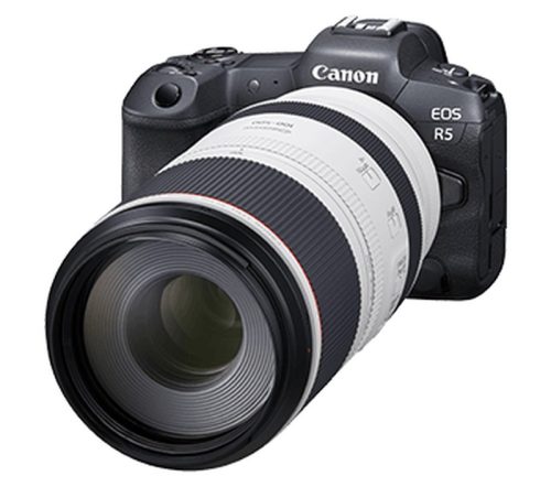 Canon RF 100-500mm f/4.5-7.1L IS USM! 🦅