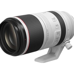 Canon RF 100-500mm f/4.5-7.1L IS USM! 🦅