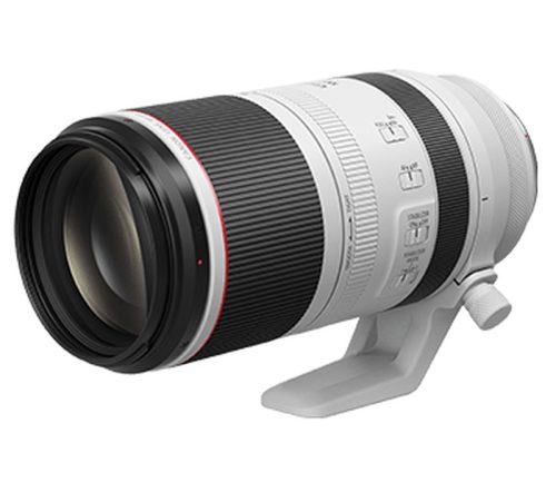 Canon RF 100-500mm f/4.5-7.1L IS USM! 🦅