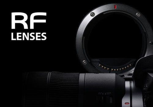 Canon RF 35mm f/1.8 Macro IS STM